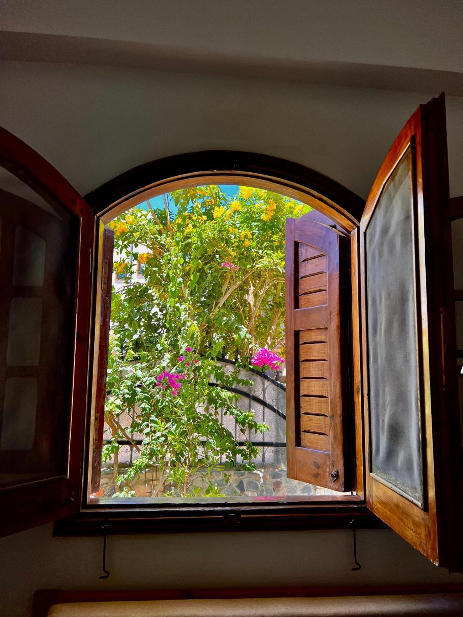 Rafiki Hostels - Dahab Zewnętrze zdjęcie